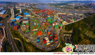 重庆两江新区春季花展现场