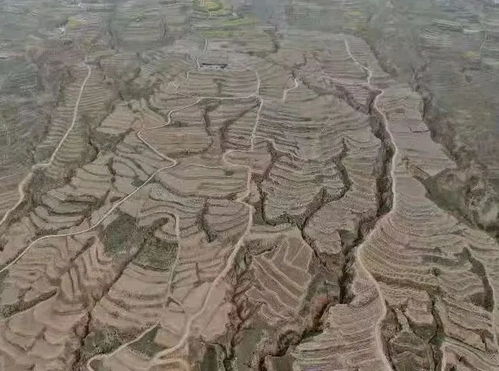 荒沙地变牧草，农户被判刑6个月！当地回应引热议