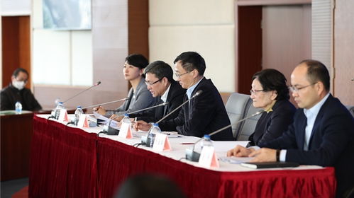 严宁在公务场合讲话