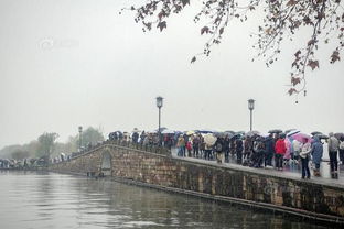 西湖断桥情侣合影留念