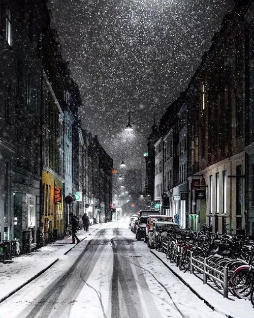 我的去年是冬天：一个人的冷暖自知