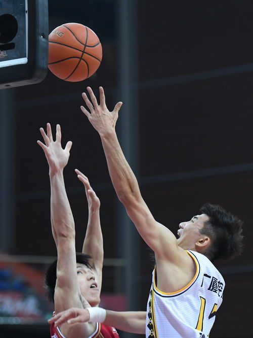 浙江广厦队孙铭徽突破上篮