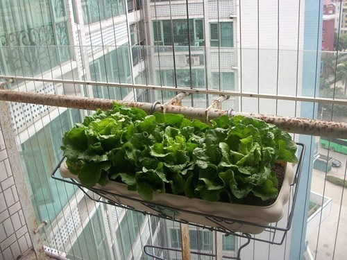 五一节的多种过法（散文）