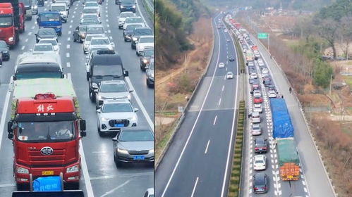 女子为蹭高速免费提前半个月出发，真相让人哭笑不得