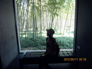 阳光洒落在前进的路上