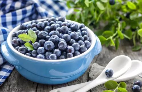 蓝莓浸泡过程
