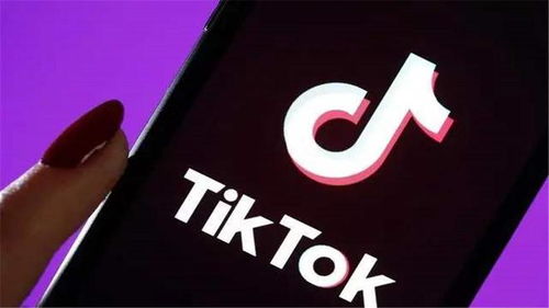 TikTok用户模仿鸡叫音效视频截图