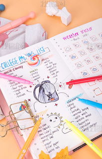 20天手账记录挑战，如何让我重新认识自己