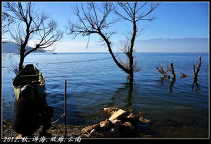 女生坐在洱海边看夕阳