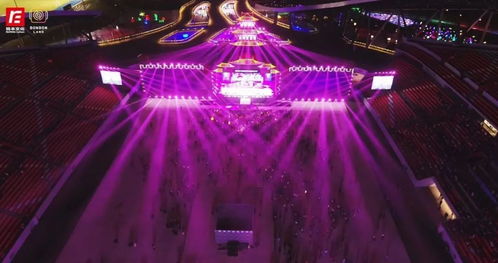 苏新皓舞台光影效果