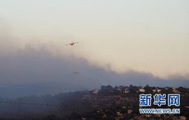 以色列山火失控，国家紧急状态下的真实记录