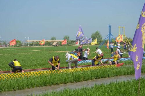 这就是村里的劳动节：我在抖音上看见了不一样的乡村节日