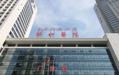 张雪峰谈协和4+4争议：医学精英路在何方？