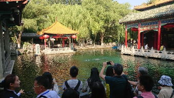 五一假期哪些地方是打卡榜C位？热门旅游目的地大揭秘