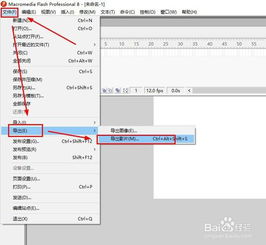 高清MOV视频导出成功画面