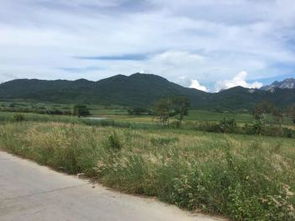 天然牧草地现状