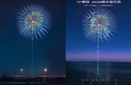 TF家族空降热搜，粉丝狂喜：青春回来了！