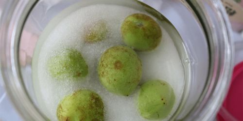 青梅酒制作过程