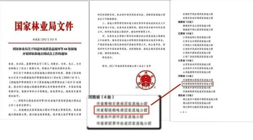 夕阳下金光闪闪的水面美景