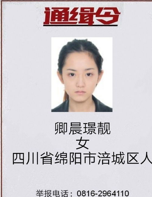 通缉令上的卿晨璟靓