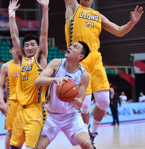 广厦主教练王博在场边指挥战术