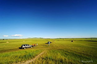 曹骏这是蒙古舞还是蒙古武？演技与舞蹈的极致碰撞