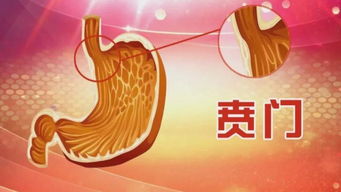 胃癌早期症状图表