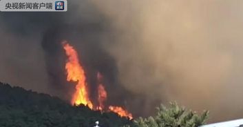 以色列多地山火肆虐，向多国求援背后的真实故事