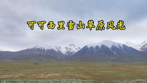 大地在怒吼：我在可可西里的震撼之旅