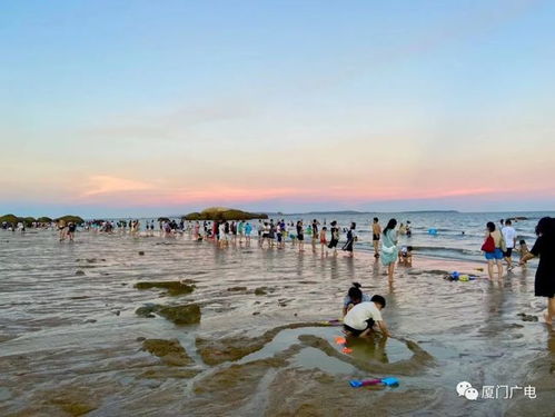 山东沿海赶海人群聚集的海滩美景
