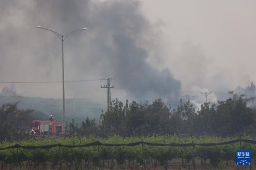 以色列中部野火现场