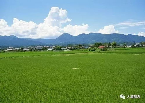 春光作序催奋进&mdash;&mdash;4月全国各地经济社会发展观察