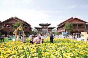 五一假期文旅热度爆表！从数据看全国出游趋势，我却被黑龙江惊艳到了