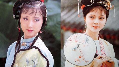 既然宝钗送干燕窝没解决林黛玉炖燕窝的困难，林黛玉怎么还要麻烦下人帮她煮？