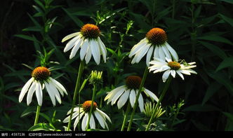 春田花事：一场与季节共舞的温柔邂逅