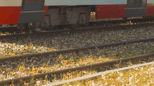 阳光洒落桌面的温暖午后