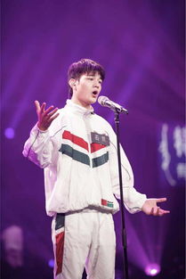 石凯音乐节风波背后：舆论与事业的双面博弈