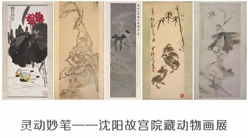 五一假期去哪玩？杭州五月看展全攻略｜书画·洋伞·甲骨文·昆虫·展览