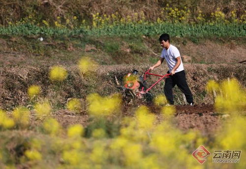 春耕景象