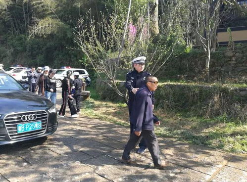 中宁桃花节民警执勤