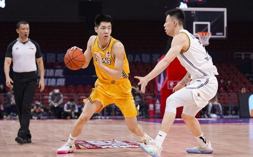 辽宁男篮球迷失望表情