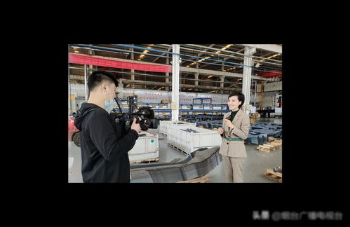 樊振东晒全国先进工作者证书，打破体坛传统标签的励志新篇