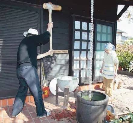 山间野菊，念父情长｜那年他教我种花，如今花开满园人却远