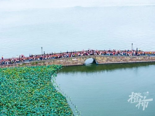 五一出游热潮背后：人潮汹涌与‘另类风景’的对比