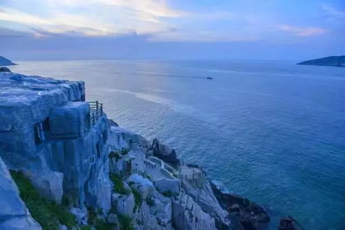 海边民宿与宠物同游