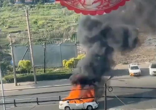 男子冒着大火掰开变形车门救援瞬间