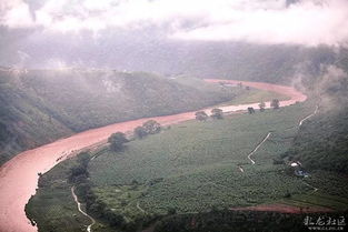 哀牢山云雾缭绕的山路