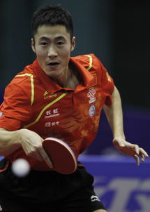 王励勤谢绝媒体采访国乒队员，背后真相引热议