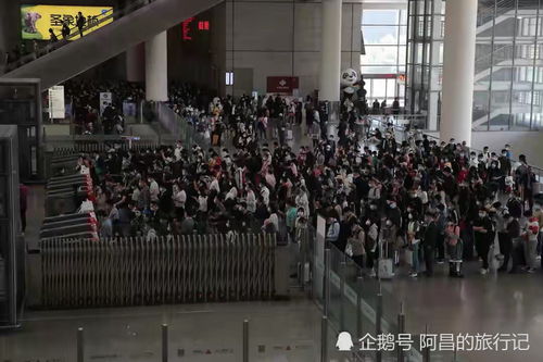 五一假期是捅人窝了吧？网友吐槽爆笑又扎心