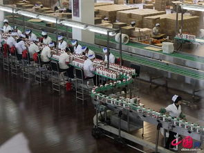 茅台酒厂生产线实景图片<h3 style=